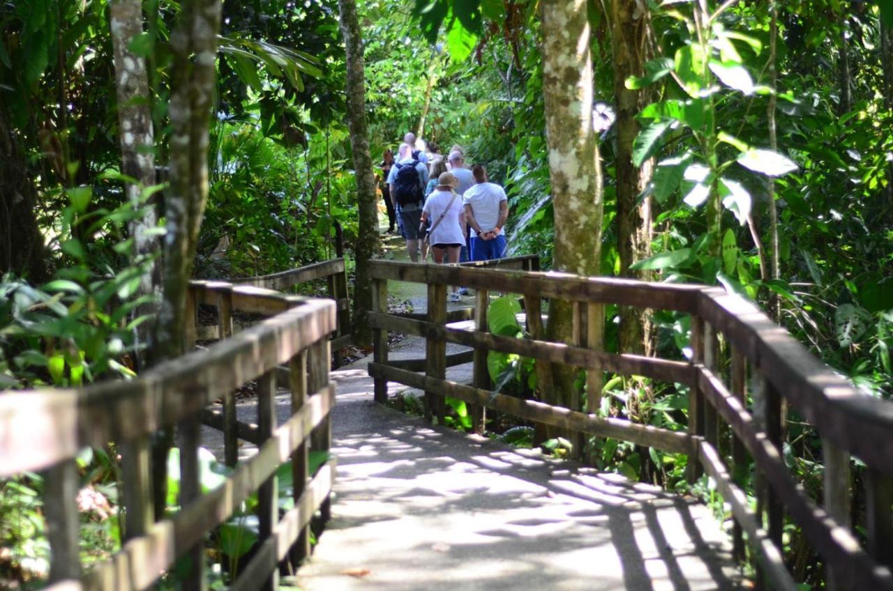 Veragua Rainforest Puerto Limon Eksteriør billede